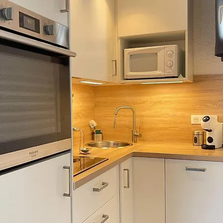 Au Pied Des Pistes Les 2 Alpes