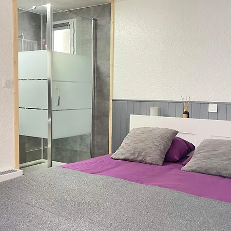 アパート Au Pied Des Pistes Les 2 Alpes *