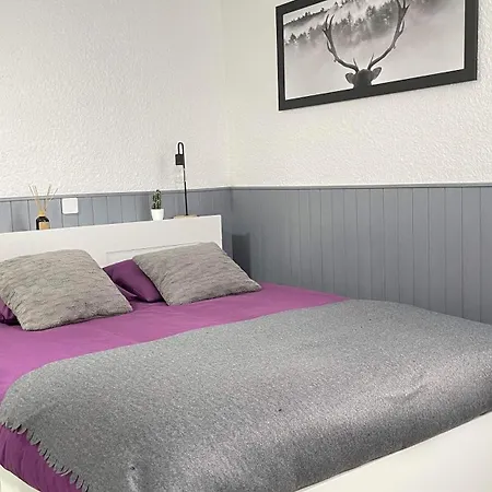 Au Pied Des Pistes Les 2 Alpes レ・デュー・アルプ